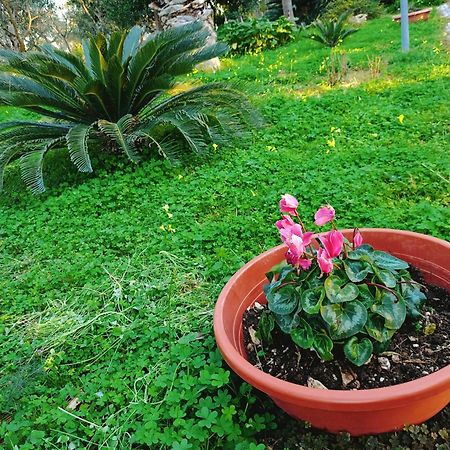 B&B Verdeoliva Modugno Buitenkant foto