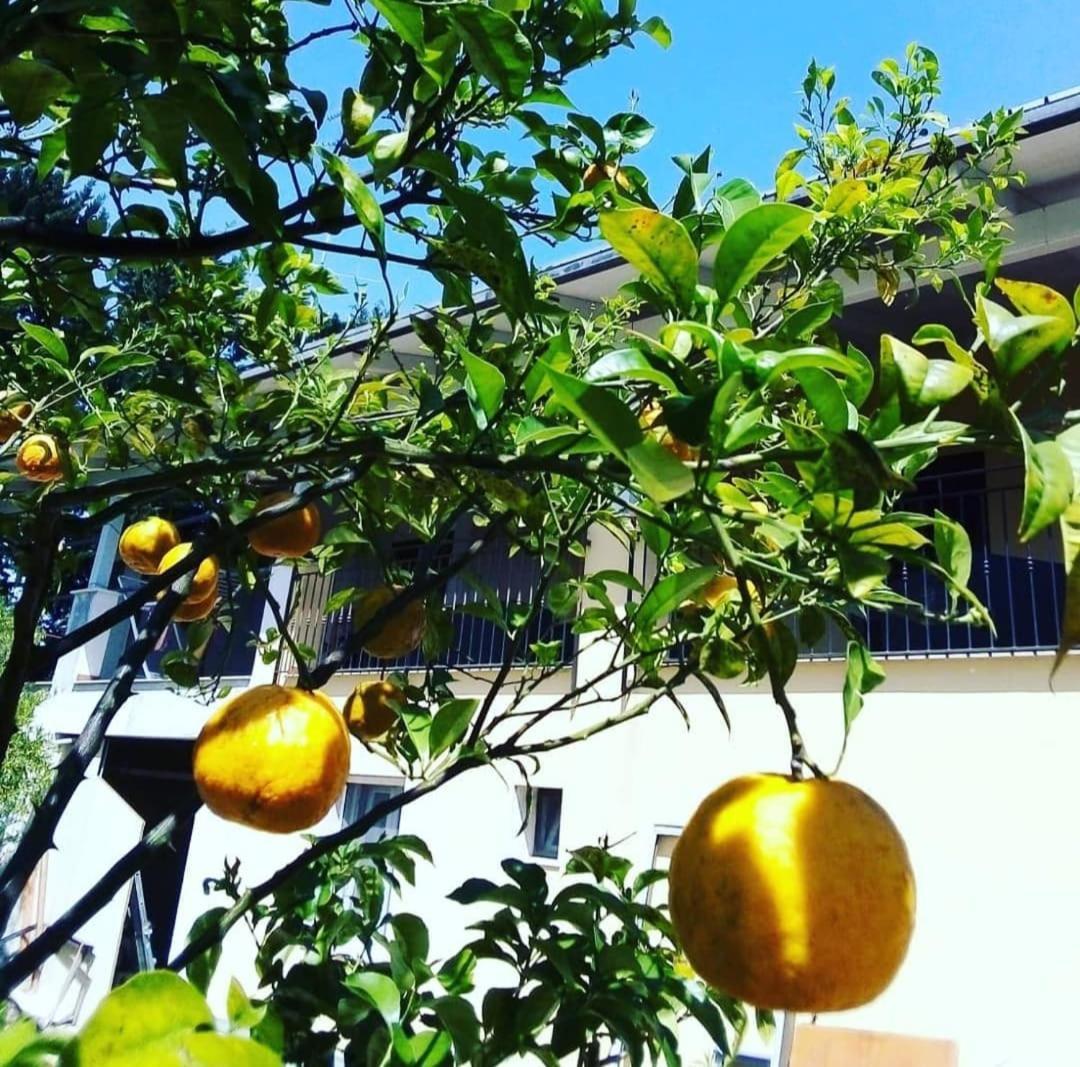 B&B Verdeoliva Modugno Buitenkant foto