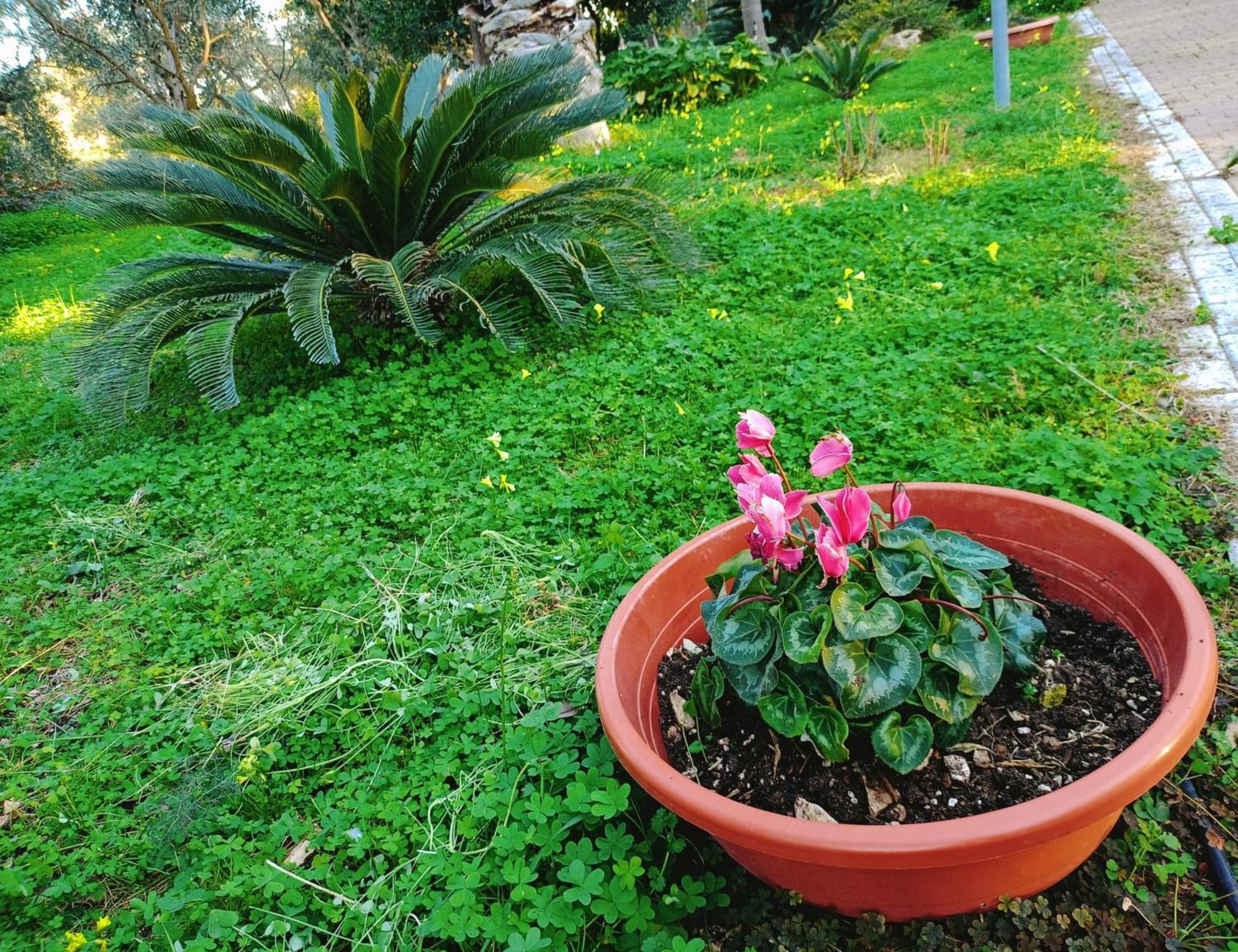 B&B Verdeoliva Modugno Buitenkant foto